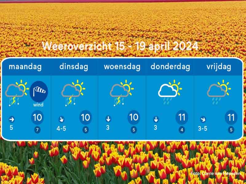 Het weer overzicht tot 19 april met op de achtergrond een rood/gele tulpenveld met daardoor oranje gloed