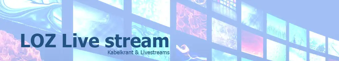 TV programmering
