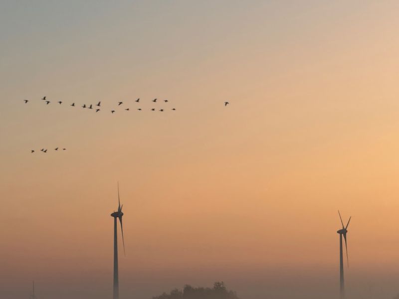 Waarom staan windmolens soms stil terwijl het waait?
