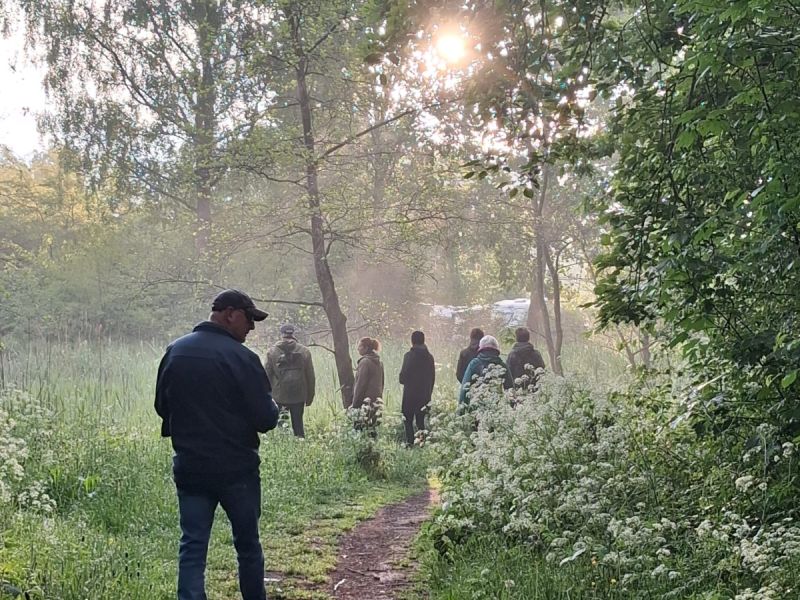 De zon schemerend door de bomen waar een groep wandelaars naar iets staat te kijken.