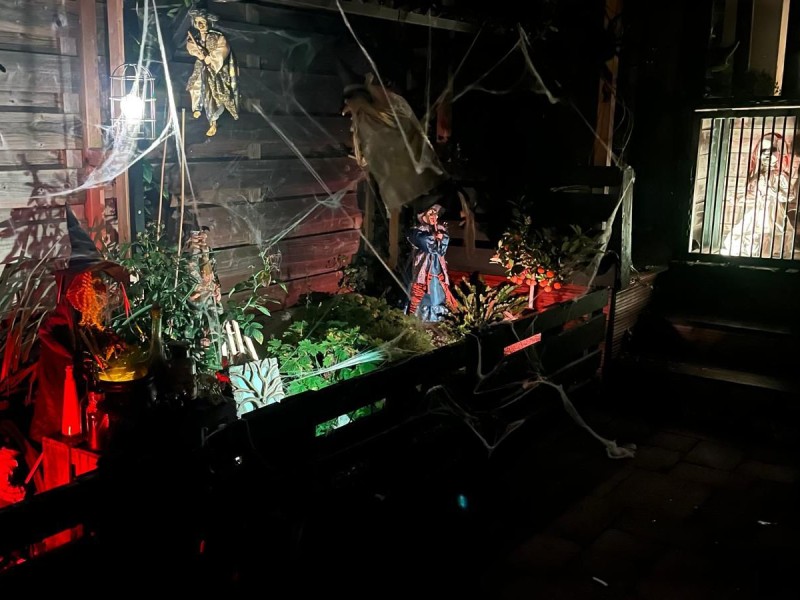 Halloween weer terug aan de Stevinweg, maar nu in de achtertuin