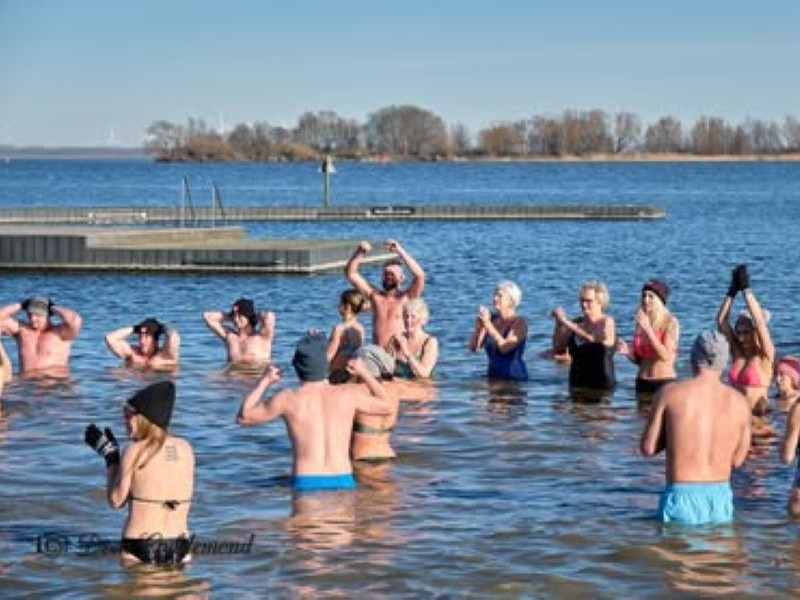 dippers in het water
