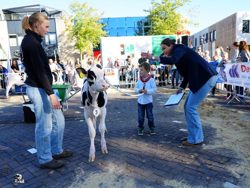 Een jongentje bij de jury met een kalfje