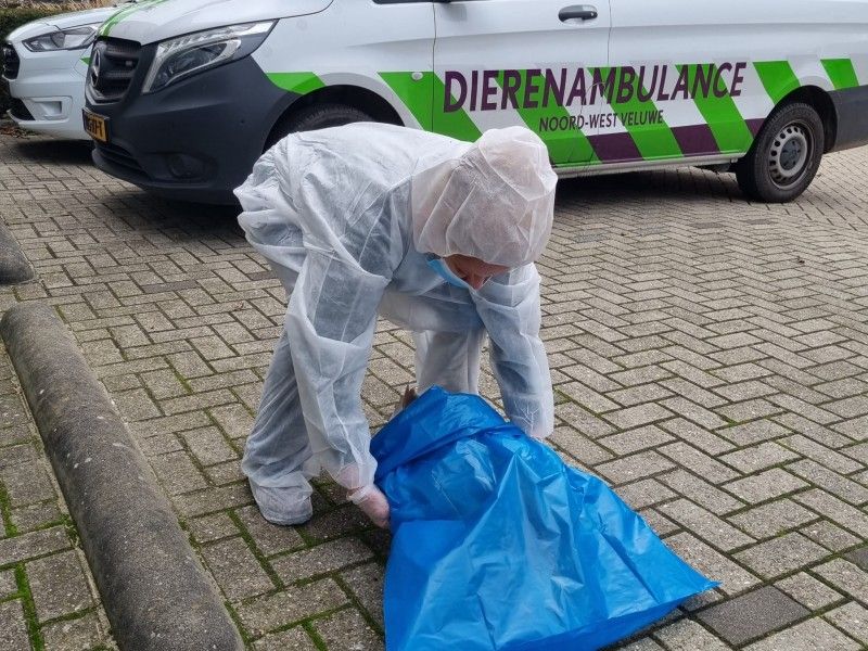 Vogelgriep in Zeewolde: wat inwoners moeten weten