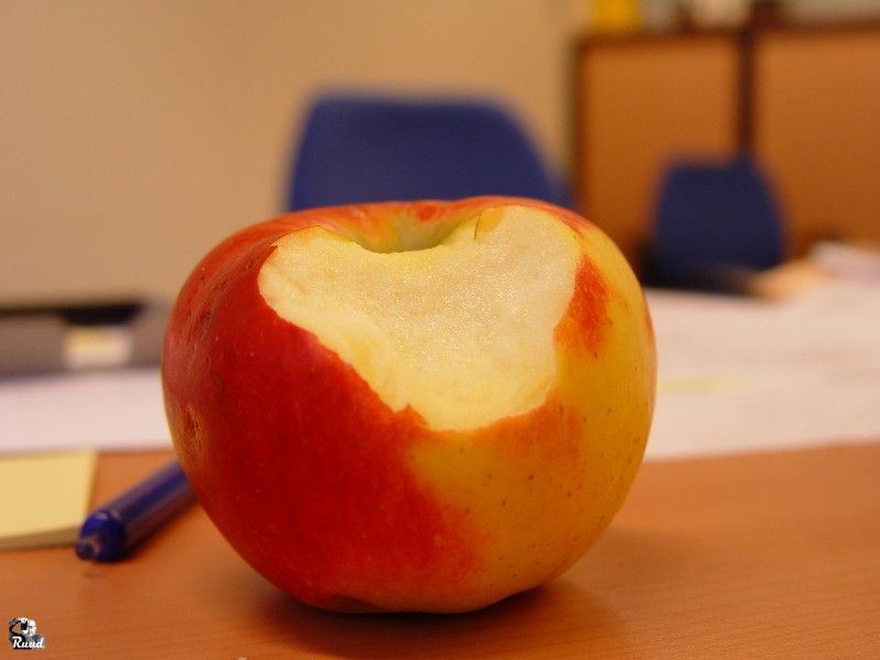 Vitaliteitsmarkt ‘Leef & Beleef’ in De Open Haven