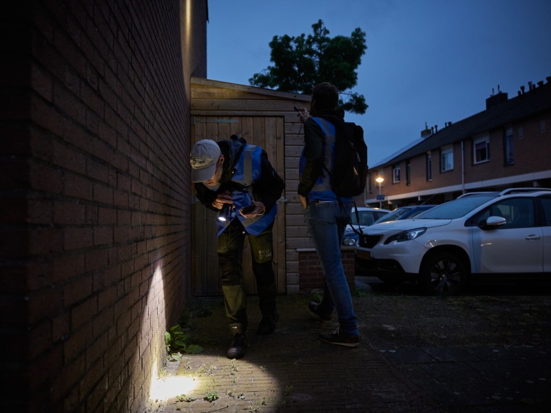 Onderzoekers in Zeewolde op zoek naar huismussen, gierzwaluwen en vleermuizen
