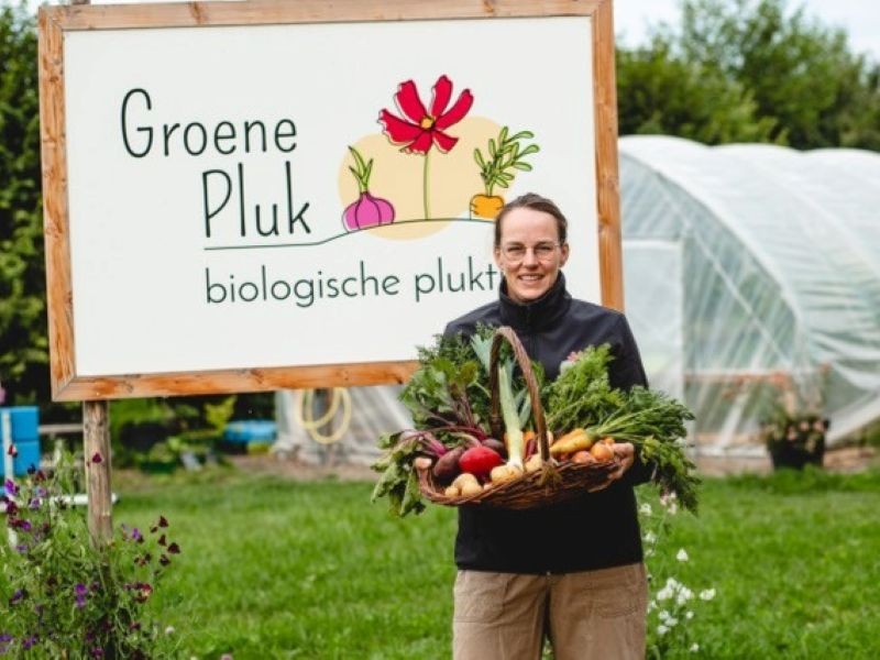 Groene Pluk maakt lokaal eten in de winter mogelijk