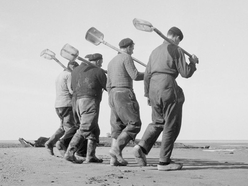 polderpioniers