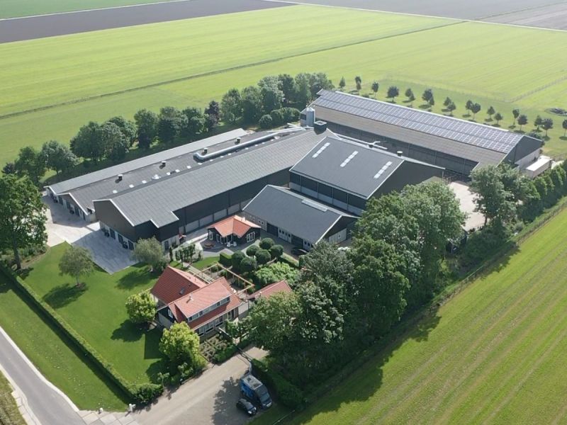 Het leghennenbedrijf van Salomons