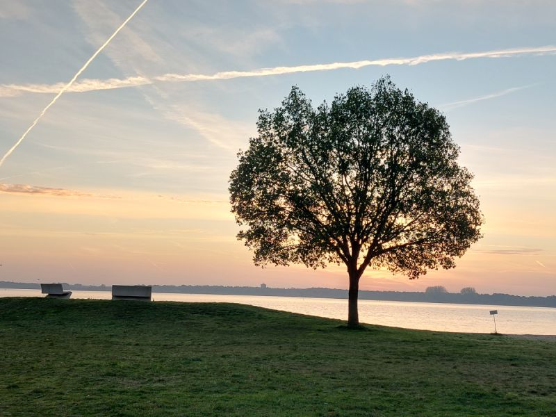 Zonsopkomst bij het Wolderwijd, met links 2 bankjes en een boom in het licht die daardoor donker lijkt