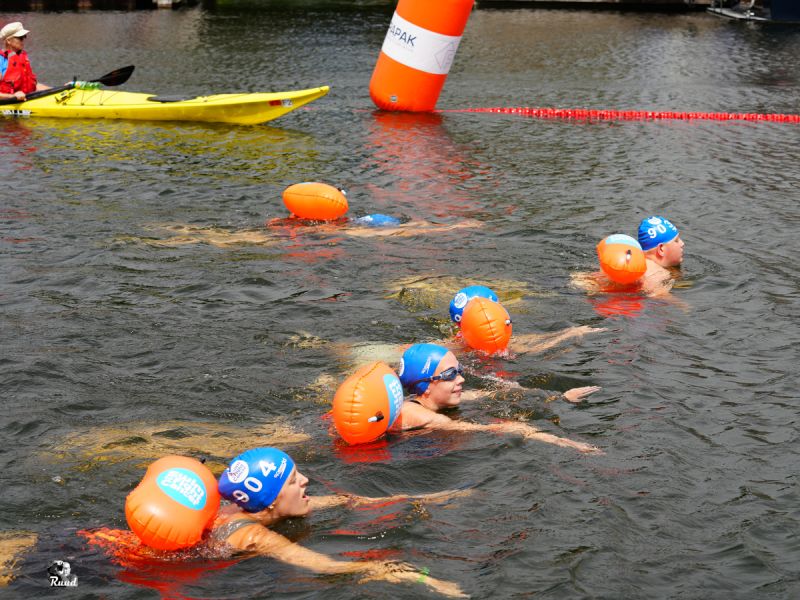 Zwemmers met een lifesaver om in het water
