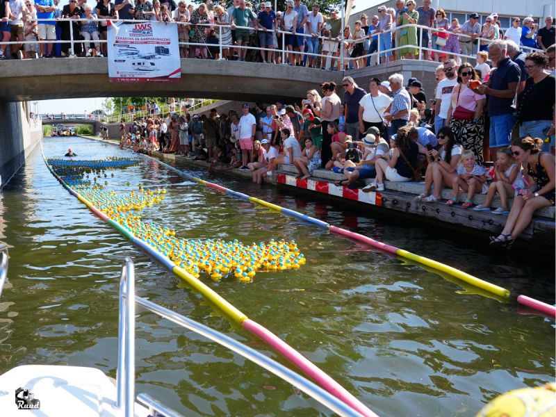 Badeendjes zwommen voor Martine Kruider-fonds