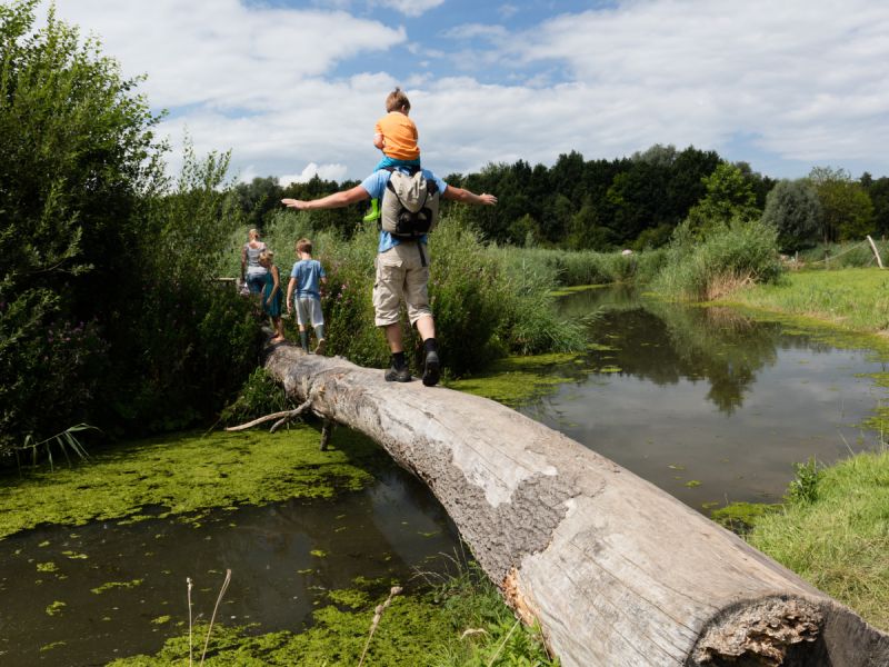 Belevenissenbos