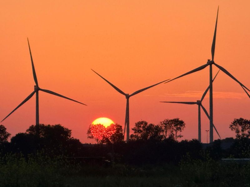 De ondergaande zon waar de lucht oranje is met in contouren bomen en windmolens