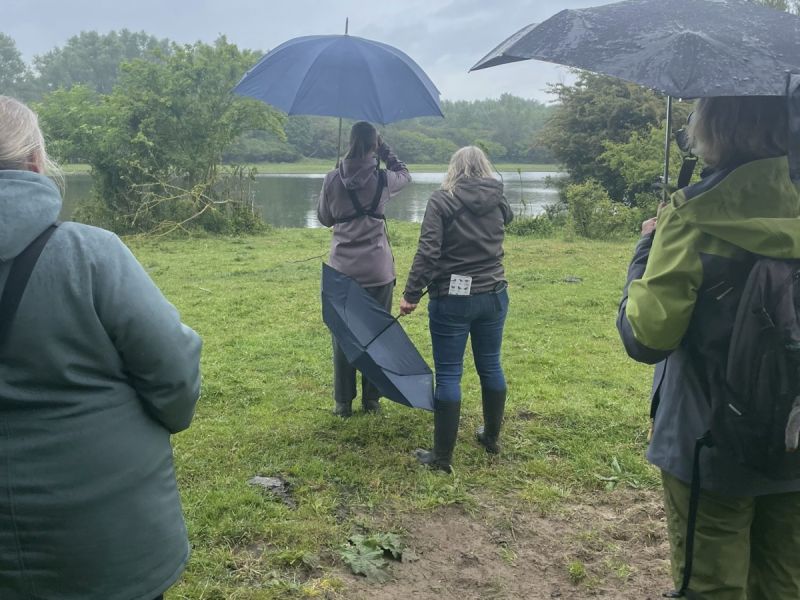 Regen houdt deelnemers niet weg bij vogelexcursie in Stille Kern