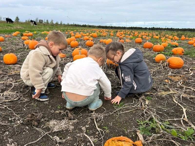 Kinderen bij pompoenen