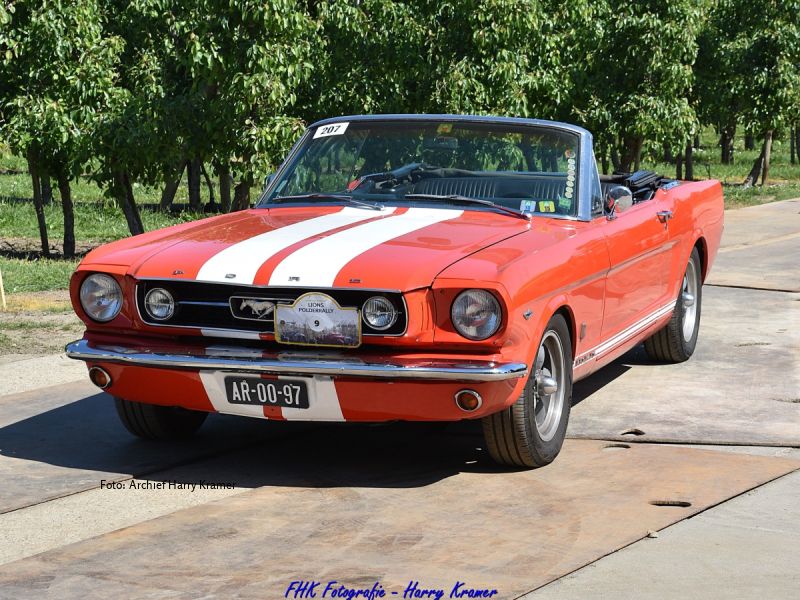 Foto van een Ford Mustang in het rood met witte streep, dak is open. Dit met op de achtergrond een appelboomgaard