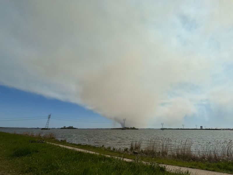 Grote natuurbrand bij ’t Harde: rook en brandlucht ook in Zeewolde waarneembaar (met liveblog)