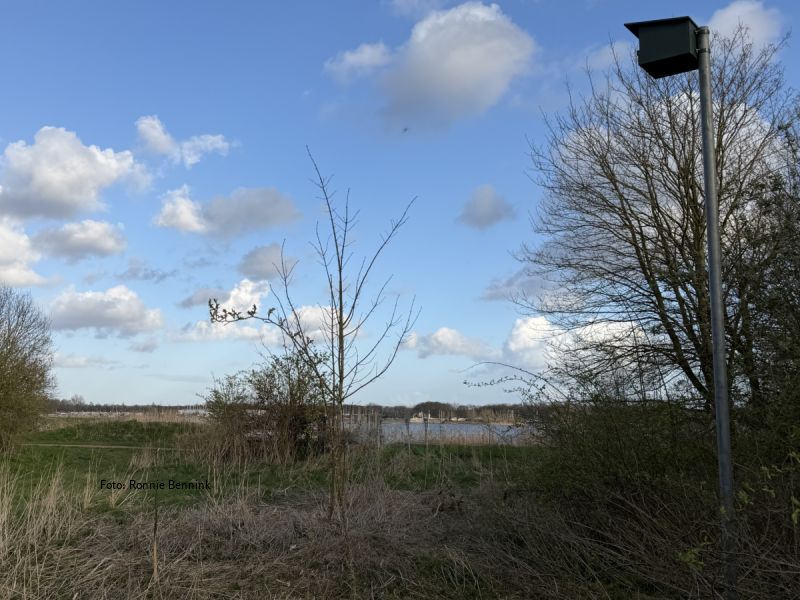 Nieuwbouw voor de torenvalk