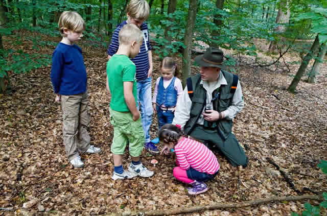Op avontuur met de boswachter
