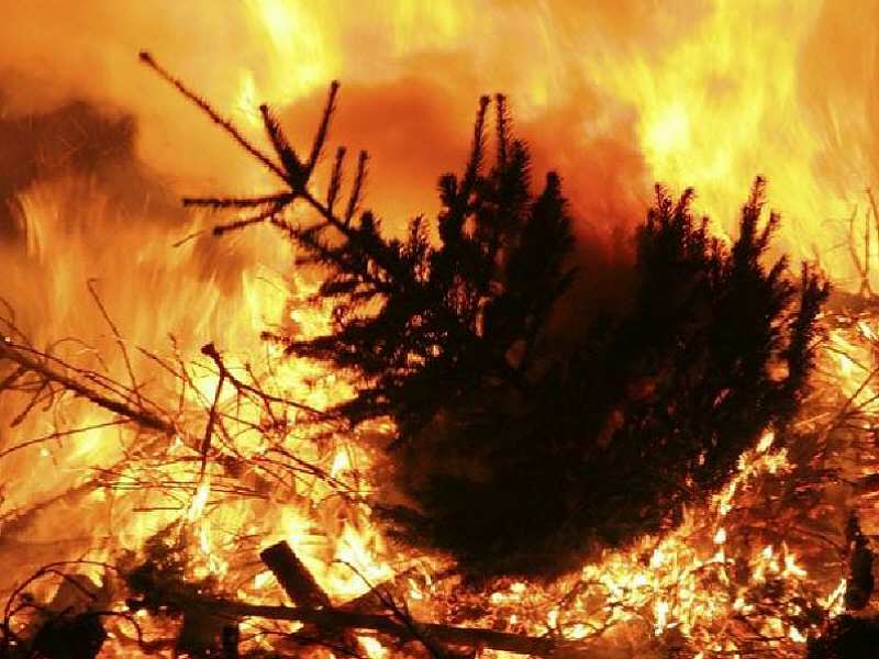 Geen kerstboomverbranding in 2019