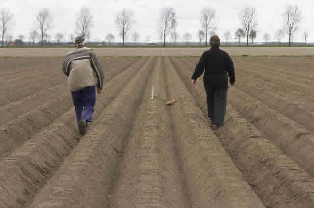 Weidevogelvrijwilligers gezocht!