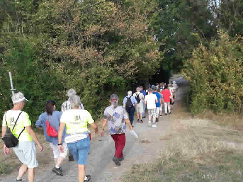 Indrukwekkende afsluiting Gezond Veluwe Challenge 