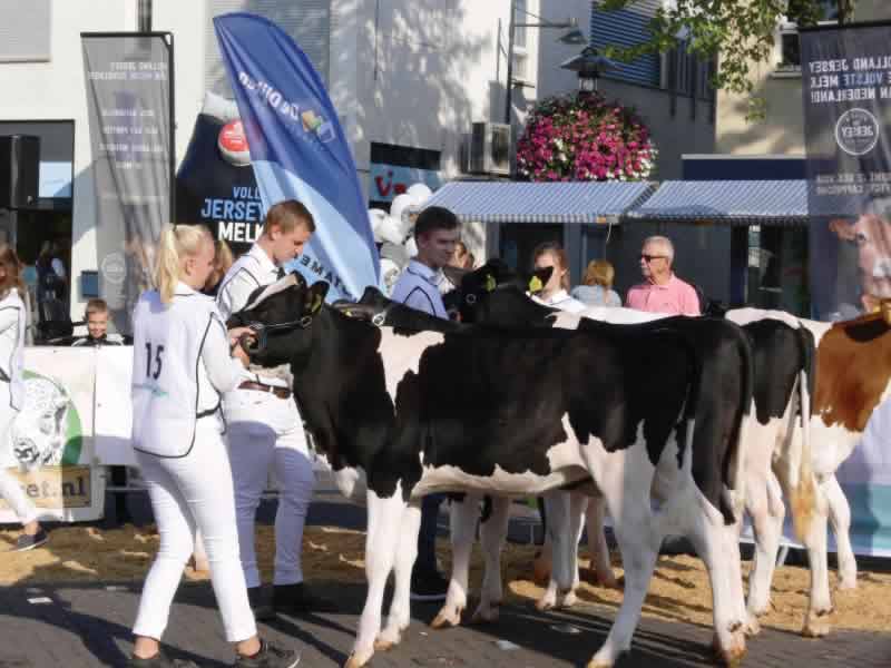 30e editie Zeewolde bij de Pinken goed bezocht