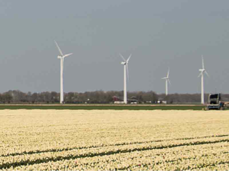 Boerengemeenschap regelt zelf realisatie windpark