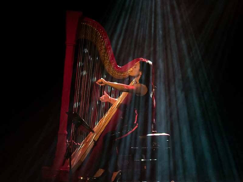Zeewoldens NieuwjaarsConcert door harpiste Lavinia Meijer