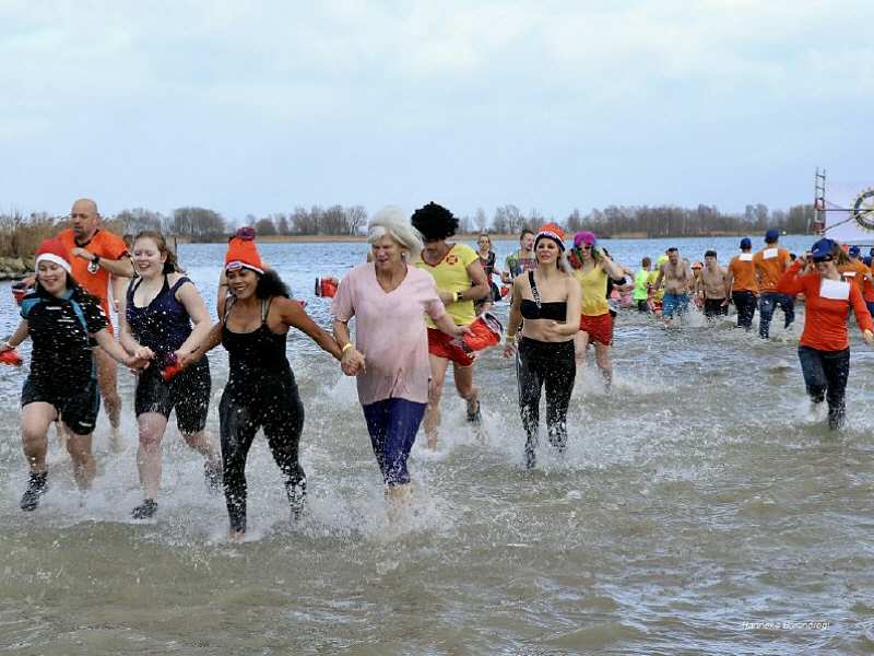 Rotary Nieuwjaarsduik 2019