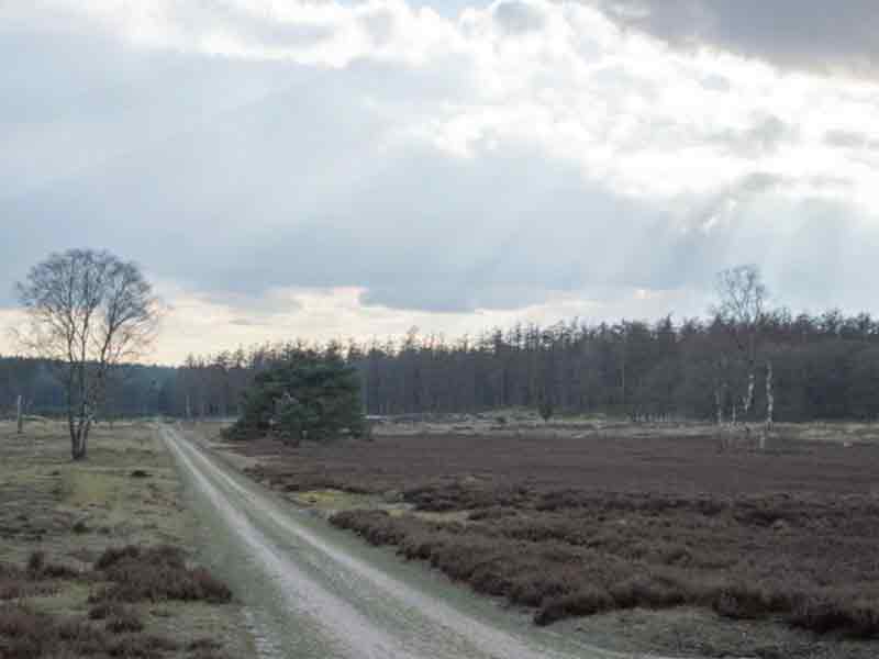 Midwinterwandeling met IVN Zeewolde 