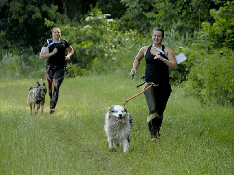 4e editie Dogsurvival Zeewolde spetterend verlopen