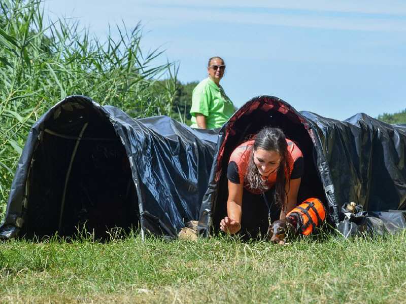 Dogsurvival (archieffoto)