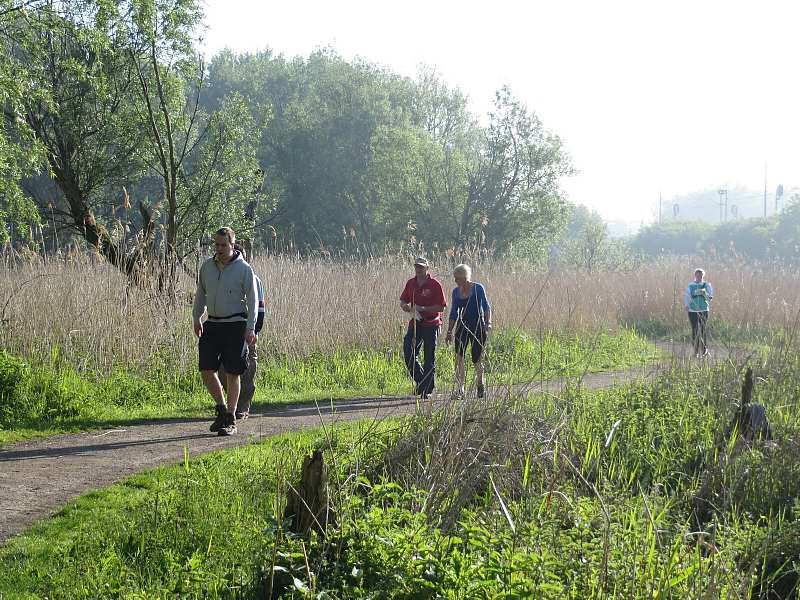 Stichting Peripatoo en Staatsbosbeheer houden wandeltocht rond Oostvaardersplassen