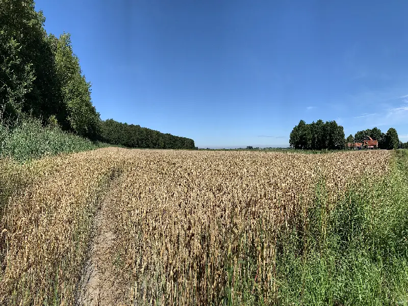Grondruiling maakt nieuwe natuur mogelijk