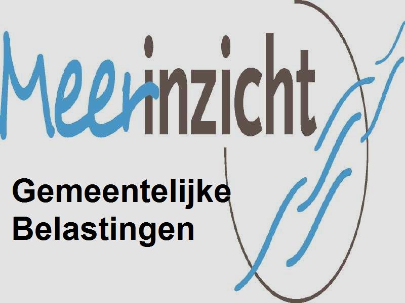 Logo_Meerinzicht