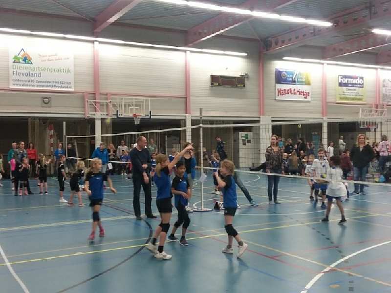 Volleyballvereniging Zeewolde