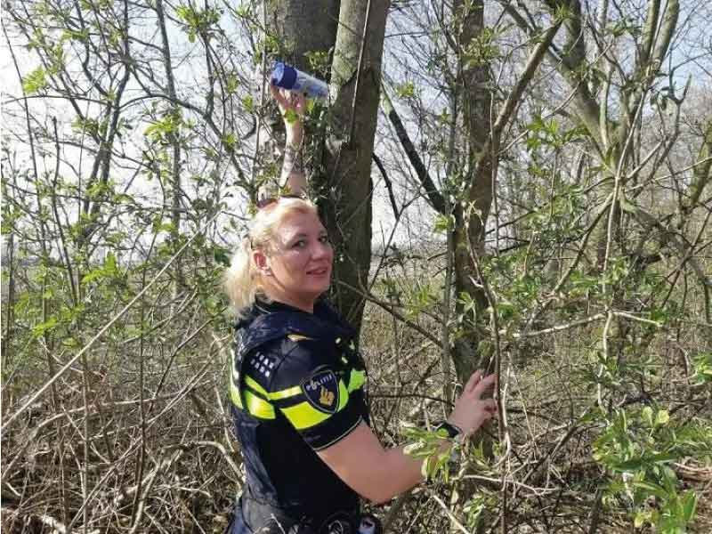 Speurtochten politie Zeewolde populair bij andere politieteams