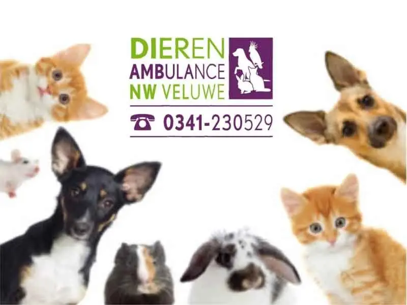 Dierenambulance onder Noordwest-Veluwe