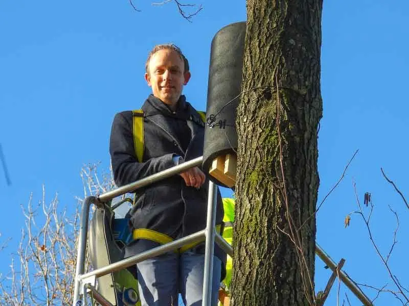 Vleermuizen tegen eikenprocessierups