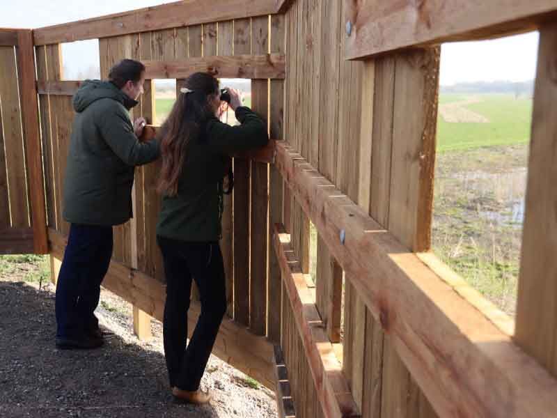 Nieuwe uitzichtpunten in Oostvaardersplassen