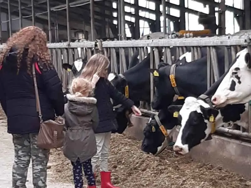 Koekeloere dag Bij Boer Sjaak geslaagd