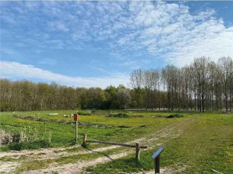 Ondernemers voor Horsterwold lastig te vinden: “Is pionieren”