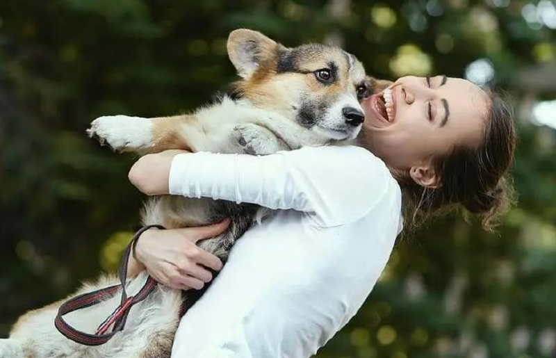 20.000 euro opgehaald bij eerste Honden voor Honden Loop