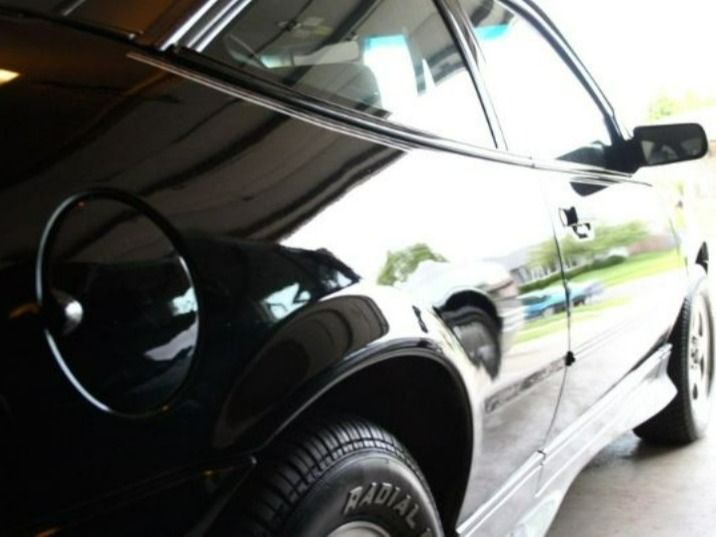 Korte stop voor tulpenfoto heeft grote gevolgen