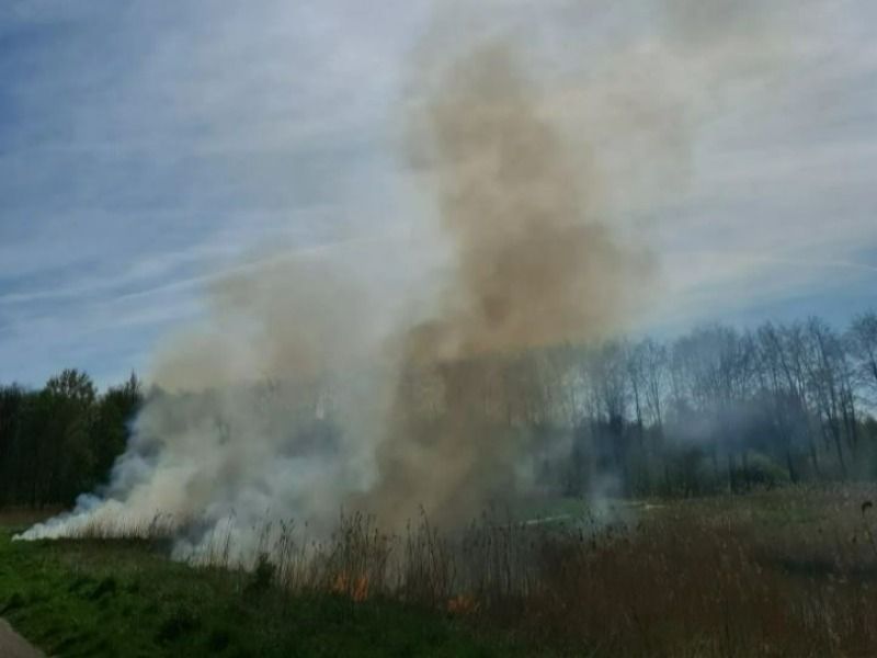 Zeewolde opgeschrikt door bosbranden