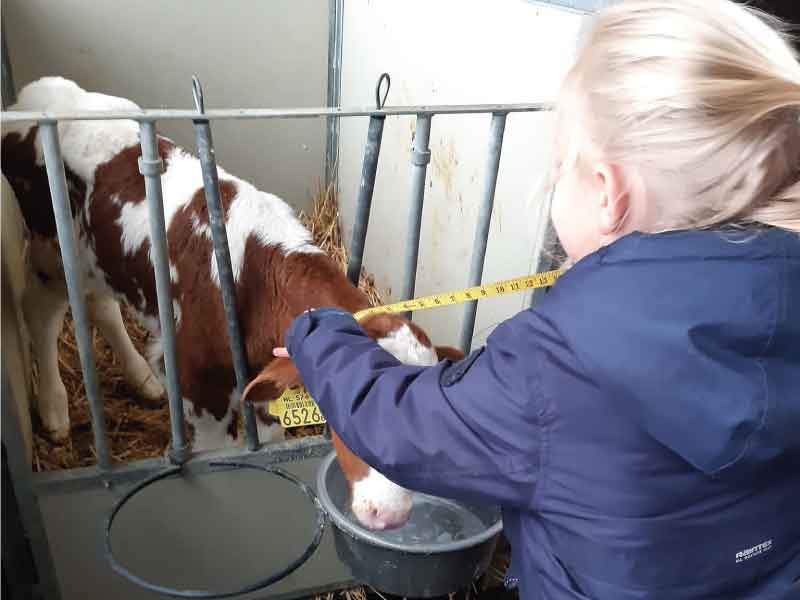 Buitenlesdag op de boerderij