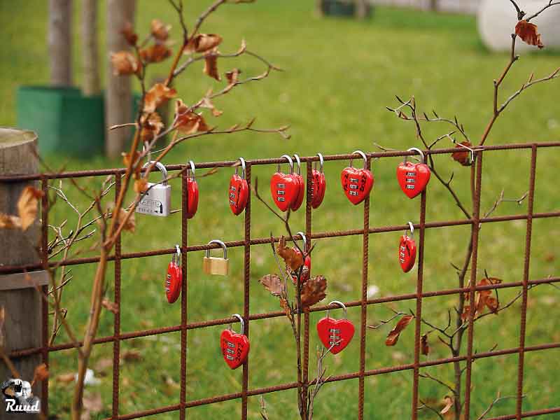 Harten Slotjes voor Stichting Buurt AED Zeewolde