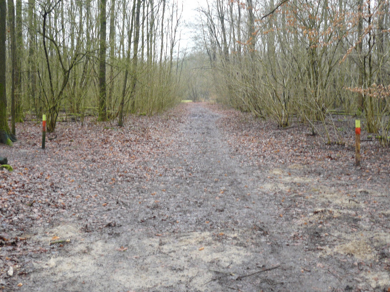 Kuieren met koffie met IVN Zeewolde